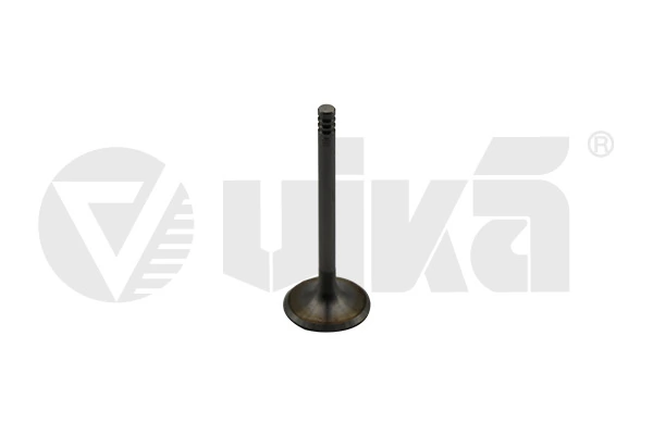 Intake Valve