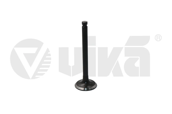 Intake Valve