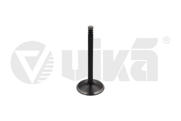 Intake Valve