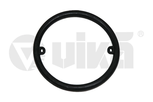 Seal Ring, oil cooler (lubrication)