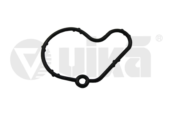 Gasket, vacuum pump