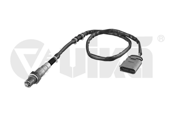 Oxygen Sensor